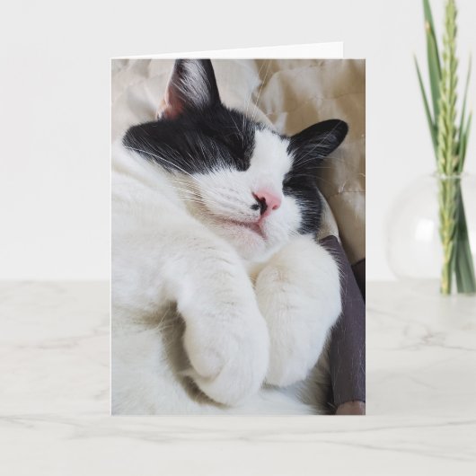 Carte de chat tuxedo (Devant)
