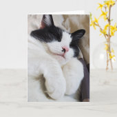 Carte de chat tuxedo (Fleur jaune)