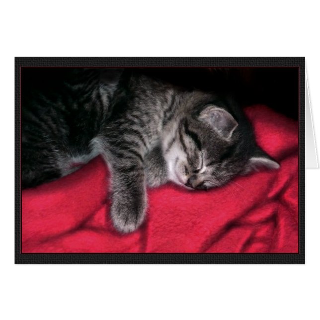 Carte de chaton couché (Devant horizontal)