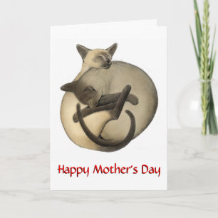 Carte de chats Siamese
