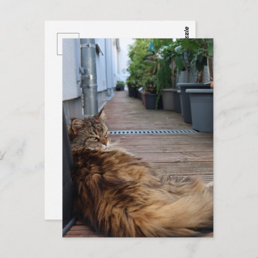 Carte de chauffage domestique ou simplement déplac (Devant / Derrière)