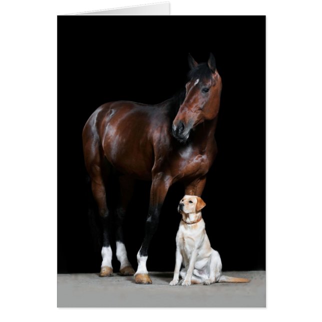 Carte de cheval (Devant)