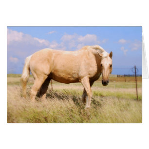 Carte de cheval de palomino