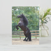 Carte de cheval noir (Debout devant)