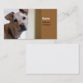 Carte de chien (Devant / Derrière)