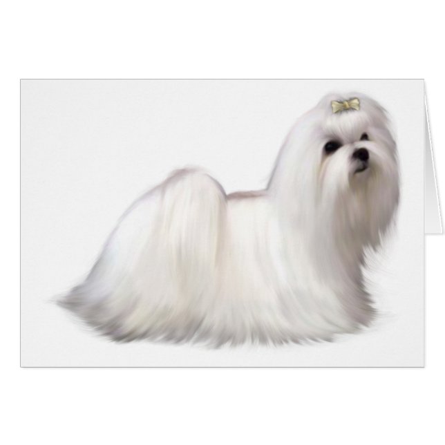 Carte de chien (Devant horizontal)