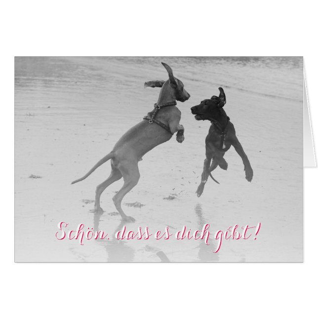 Carte de chien "Beau" (Devant horizontal)