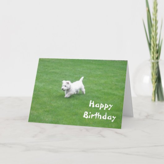carte de chien d'anniversaire heureuse (Devant)