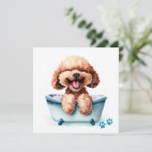 Carte de chien de caniche (Debout devant)