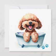Carte de chien de caniche