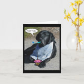 Carte de chien de fête - "Boone" (Fleur jaune)