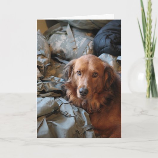 Carte de chien de l'armée (Devant)