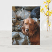 Carte de chien de l'armée (Fleur jaune)