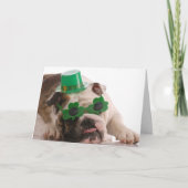 Carte de chien du jour de St Patrick (Devant)