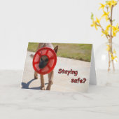 Carte de chien en détresse sociale (Fleur jaune)