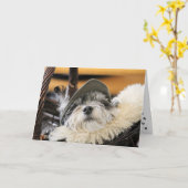 Carte de chien Shih Tzu mignon (Fleur jaune)