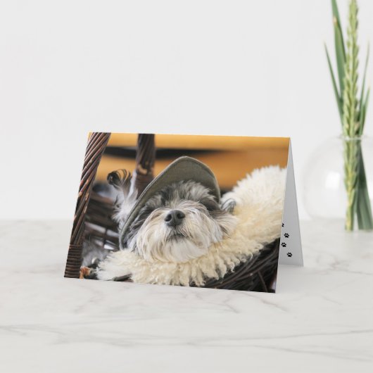 Carte de chien Shih Tzu mignon (Devant)