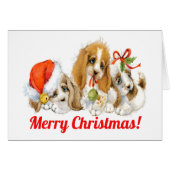 Carte de Chiens Précieux Noël (Devant Horizontal)