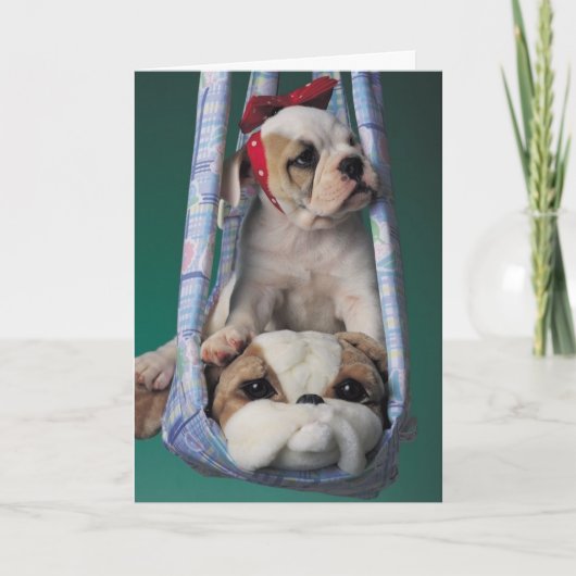 Carte de chiot de bulldog malade (Devant)