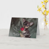 Carte de chiot de chiwawa de joyeux anniversaire (Fleur jaune)