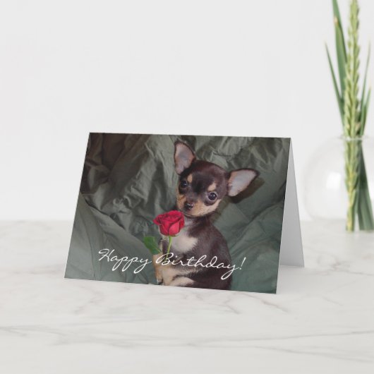 Carte de chiot de chiwawa de joyeux anniversaire (Devant)