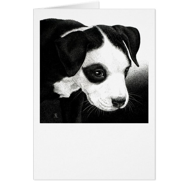 Carte de chiot de pitbull - "fille de pirate " (Devant)