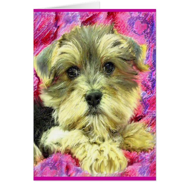 carte de chiot morkie (Devant)