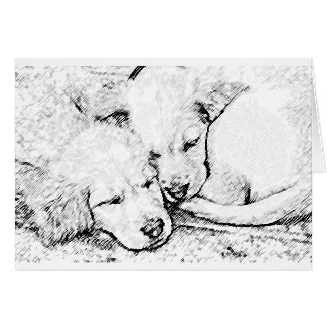 Carte de chiots (Devant horizontal)