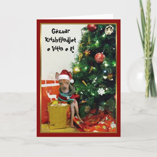 Carte de chiwawa de Gëzuar Krishtlindjet e Vitin e (Devant)