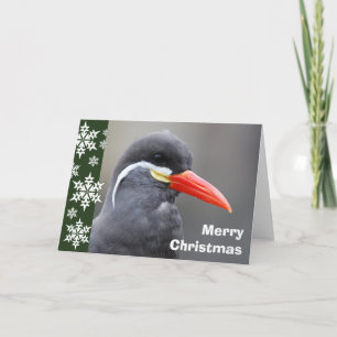 Carte de Christmas