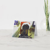Carte de Christmast de dobermann (Devant)