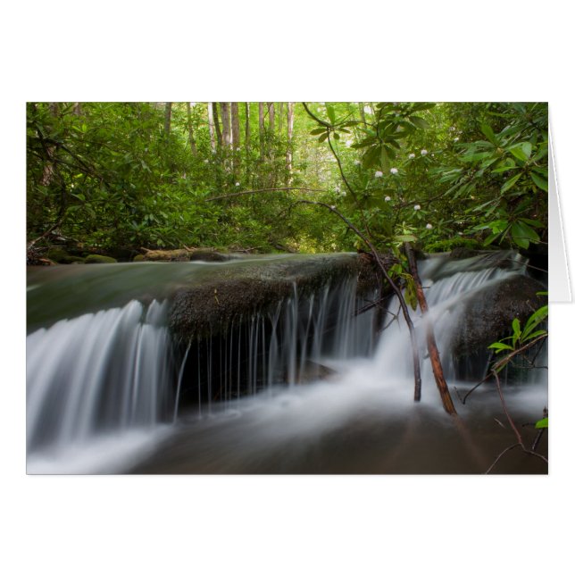 Carte de chute cachée (Devant Horizontal)