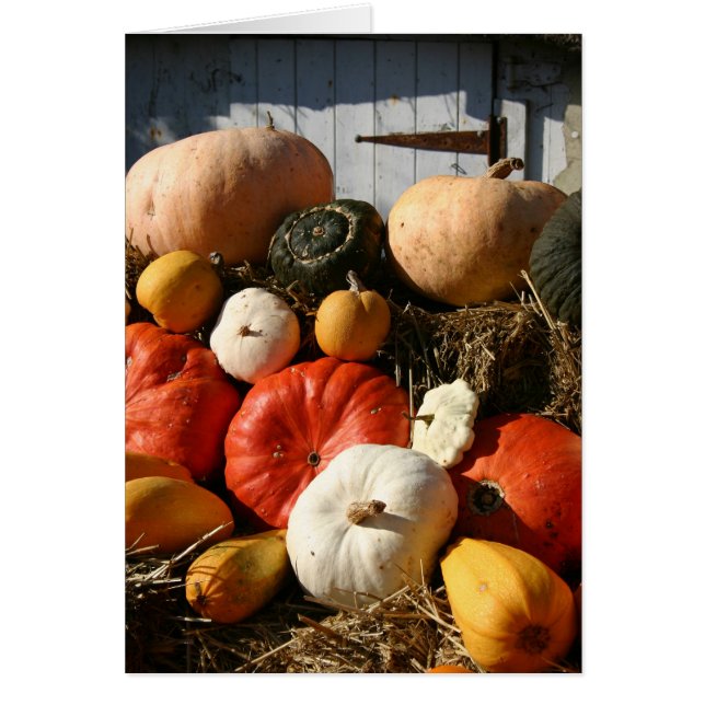 Carte de citrouilles (Devant)