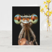 CARTE DE CLOSEUP CUTE DE DAMSELFLY (Fleur jaune)