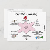 Carte de coaching : L'amibe de Lucy Gill (Devant / Derrière)