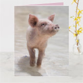 CARTE DE COCHON DE LAIT D'AMOUR (Fleur jaune)