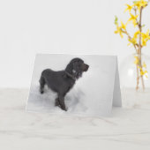 Carte de cocker (Fleur jaune)