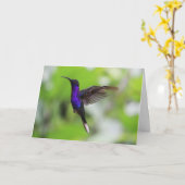 Carte de colibri Violet Sabrewing (Fleur jaune)