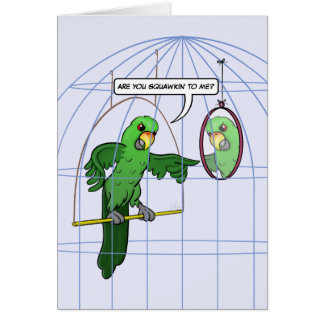 Carte de combat de cage de perroquet