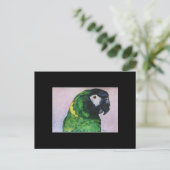 Carte de commerce d'art Macaw ACEO de couleur jaun (Debout devant)