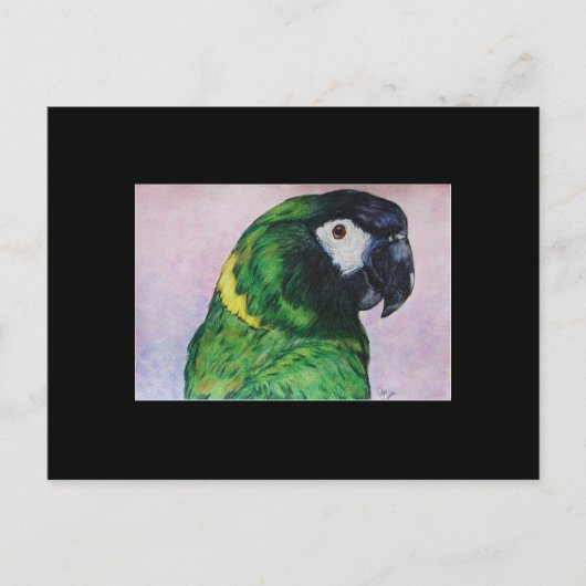 Carte de commerce d'art Macaw ACEO de couleur jaun (Devant)