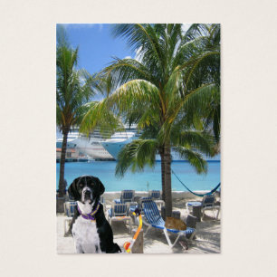 Carte de commerce "Imaginative" de chien de mer