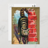 Carte de commerce pour chats Frears #2 (sur 6) (Devant / Derrière)