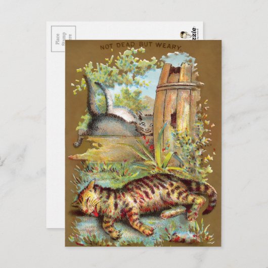 Carte de commerce pour chats Frears #5 (sur 6) (Devant / Derrière)