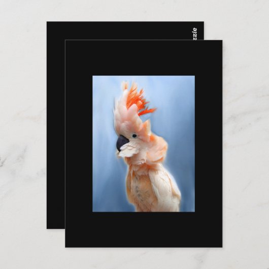Carte de commerce saumon Crested Cockatoo ACEO (Devant / Derrière)