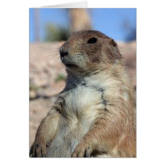 Carte "de compagnon de prairie". Customisez-moi !