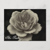 carte de condoléances (Devant)