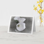Carte de condoléances avec Callas (Fleur jaune)