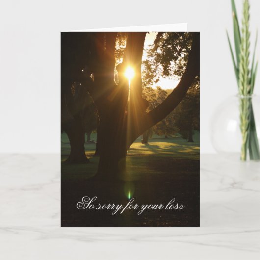 Carte de condoléances Beau coucher de soleil (Devant)