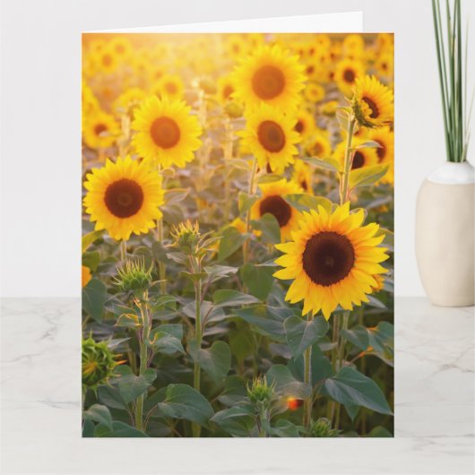 CARTE DE CONDOLÉANCES CHAMP DE TOURNESOLS (Devant)